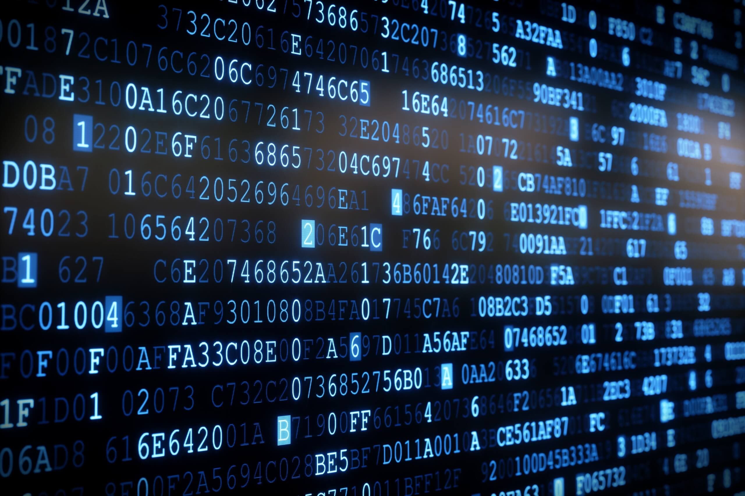 Mooze - Zespół profesjonalistów